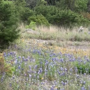 Meet your Posher, Joanne